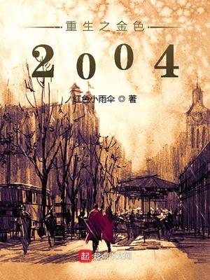 重生之金色2004