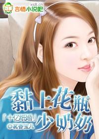 十亿纸婚:黏上花瓶少奶奶
