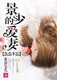 念念不忘,景少的爱妻!