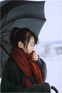 绿茶成长实录[七零]