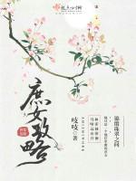 庶女攻略(锦心似玉原著小说)