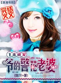 飞来横宠：爷的警花老婆