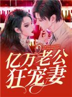 苏瓷沈之衍