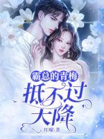 苏蘅张赫曦