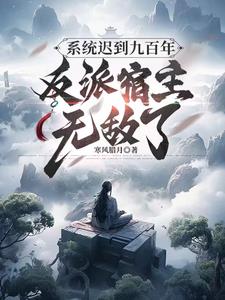 系统迟到九百年，反派宿主无敌了阅读