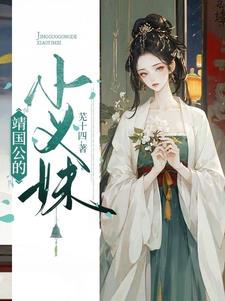 婧国公的小义妹沈北岐沈璃