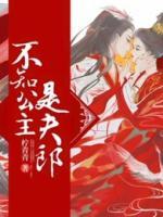 苍羽唐圣宁
