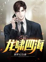 沈浪龙倾城