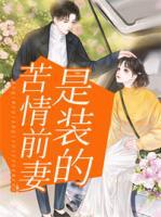 江云欢傅晋言
