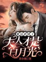 苏眠霍铭时