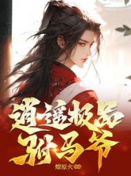 逍遥极品驸马爷苏哲阅读