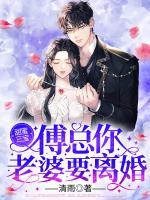江晚意傅辞渊