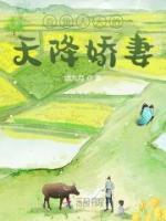 顾轻舟师玄小说阅读