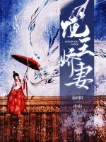 沈青鸾辞渊小说阅读