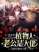 莫安安萧西泽小说阅读