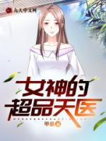 叶不凡林雨菲