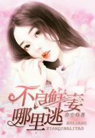 温情司墨寒