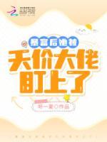 页灵蓝禹文肆
