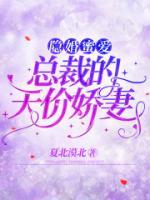 伊然慕擎夜