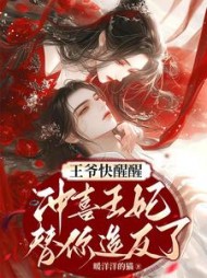 王爷快醒醒：冲喜王妃替你造反了阅读