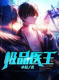极品医王阅读