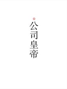 公司皇帝+后续