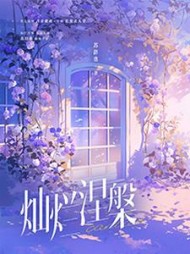 平淡小说网 灿烂涅槃by苏辞也