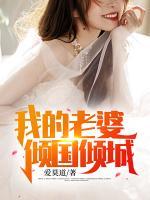 苏阳叶倾城