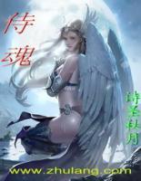 擎天夏洛雪