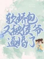 叶泠雾沈挽舟