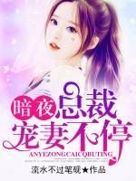 苏伊人夜铭琛