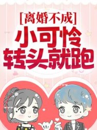 顾宴林晚阅读
